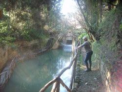 Im Rodini-Park in Rhodos-Stadt