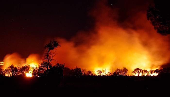 Waldbrand bei Nacht