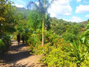 Landschaft in dem Park