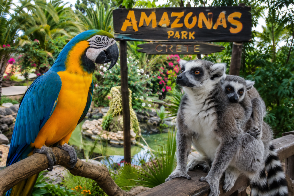 Papageien und Affen im Amazonas Park